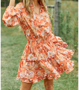 Orange Retro Floral Split Neck Puff Sleeve Mini Dress