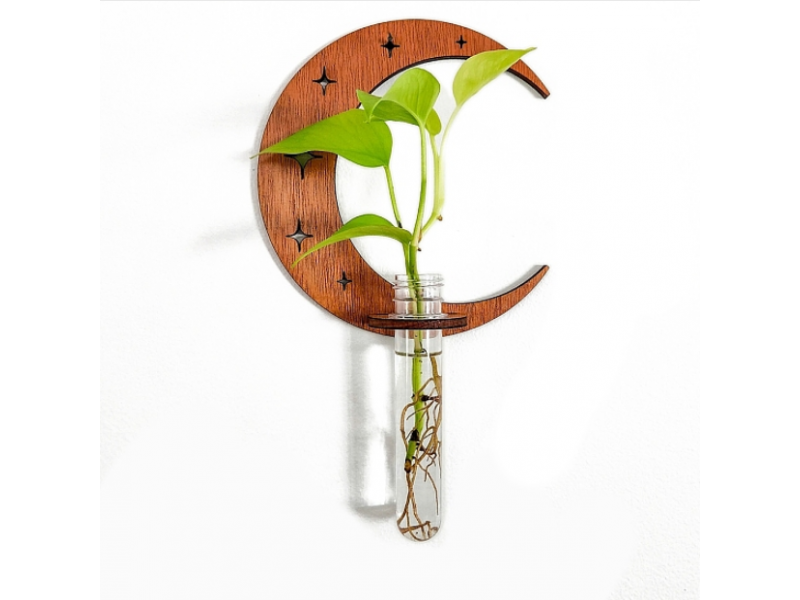 Plant Propagation Station with Wood Stand, Plant Terrarium for Hydroponics Home Hanging Decor