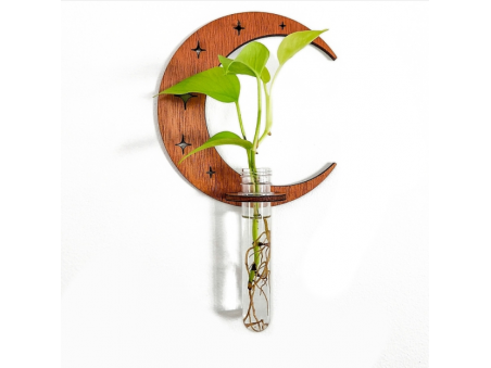 Plant Propagation Station with Wood Stand, Plant Terrarium for Hydroponics Home Hanging Decor