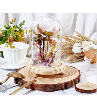 Glass Dome Cover, Decorative Display Case, Cloche Bell Jar Terrarium with Wood Base, Blanched Almond