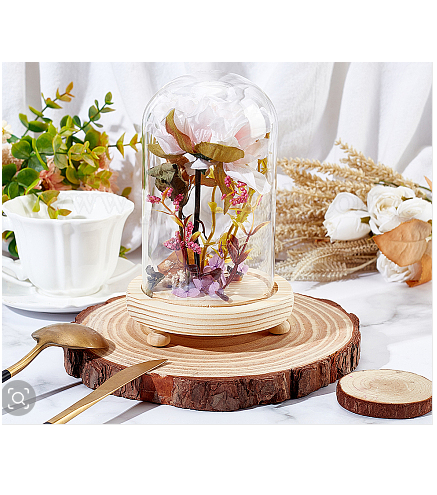 Glass Dome Cover, Decorative Display Case, Cloche Bell Jar Terrarium with Wood Base, Blanched Almond