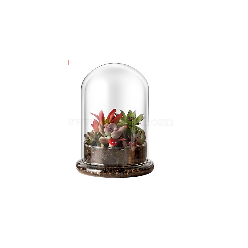 Glass Dome with Air Hole 5.9×8.3inch Glass Dome