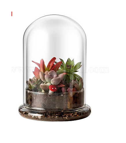 Glass Dome with Air Hole 5.9×8.3inch Glass Dome