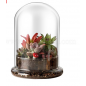 Glass Dome with Air Hole 5.9×8.3inch Glass Dome